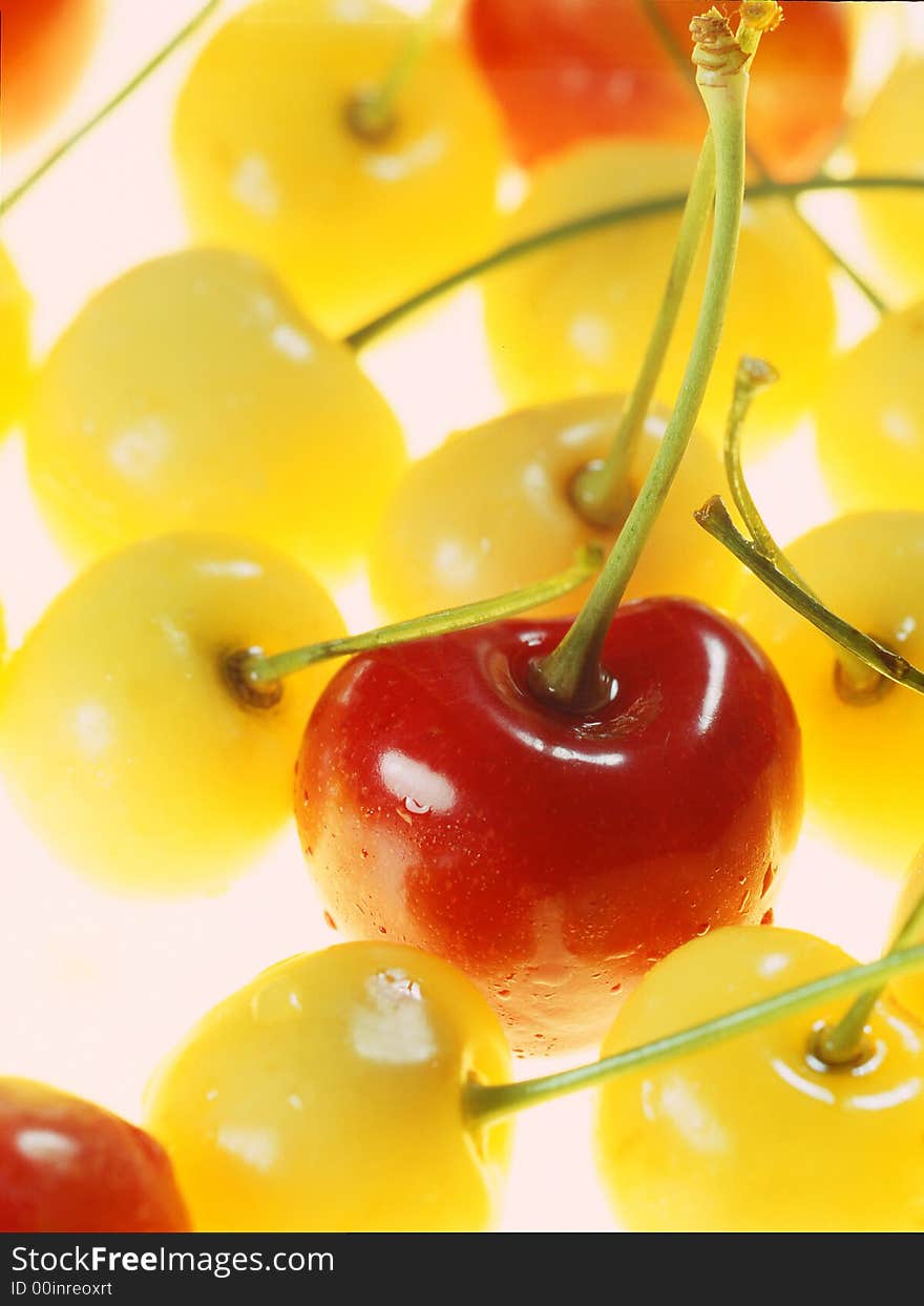 Yellow cherries on a white background. Yellow cherries on a white background