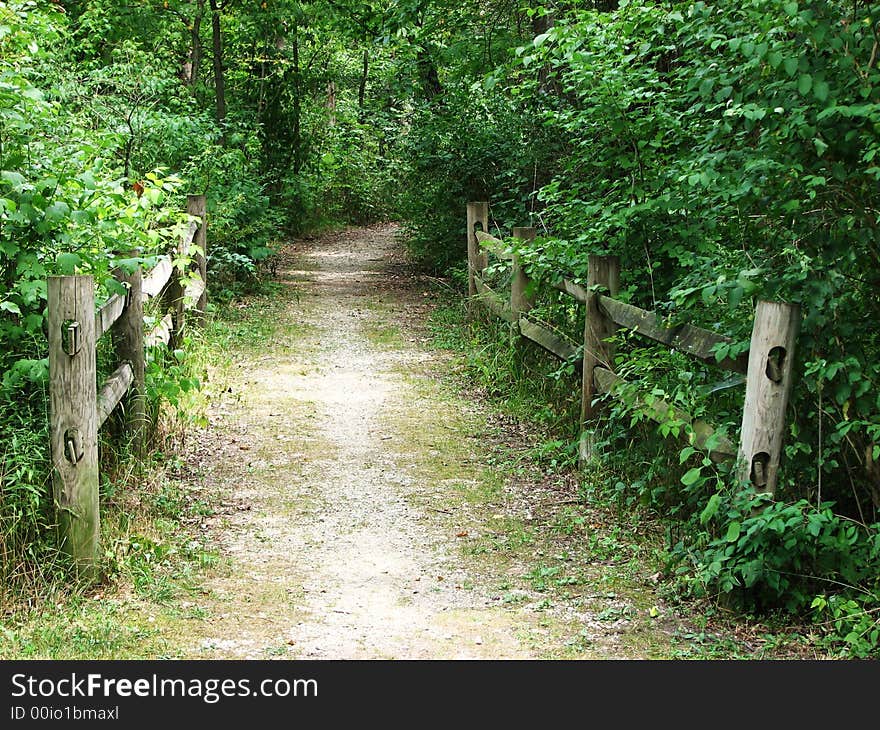 Beautiful quiet summer afternoon, footpath into woodland. Beautiful quiet summer afternoon, footpath into woodland