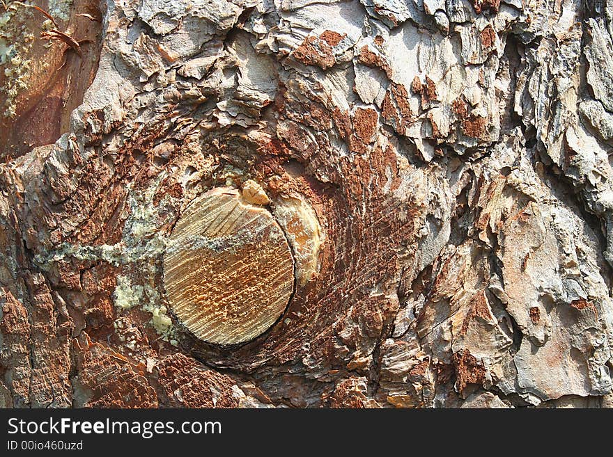 Wooden background of pine board.