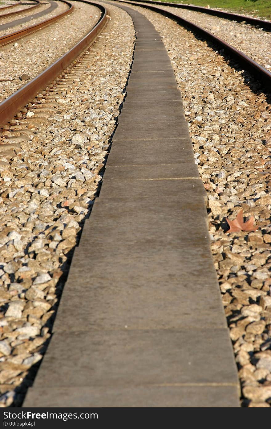 Several rail tracks disappearing in the horizon