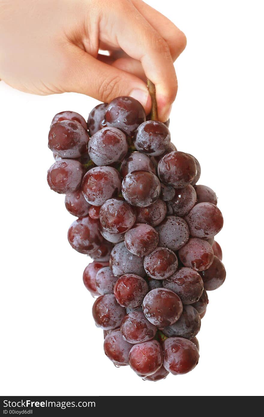 Bunch of grapes