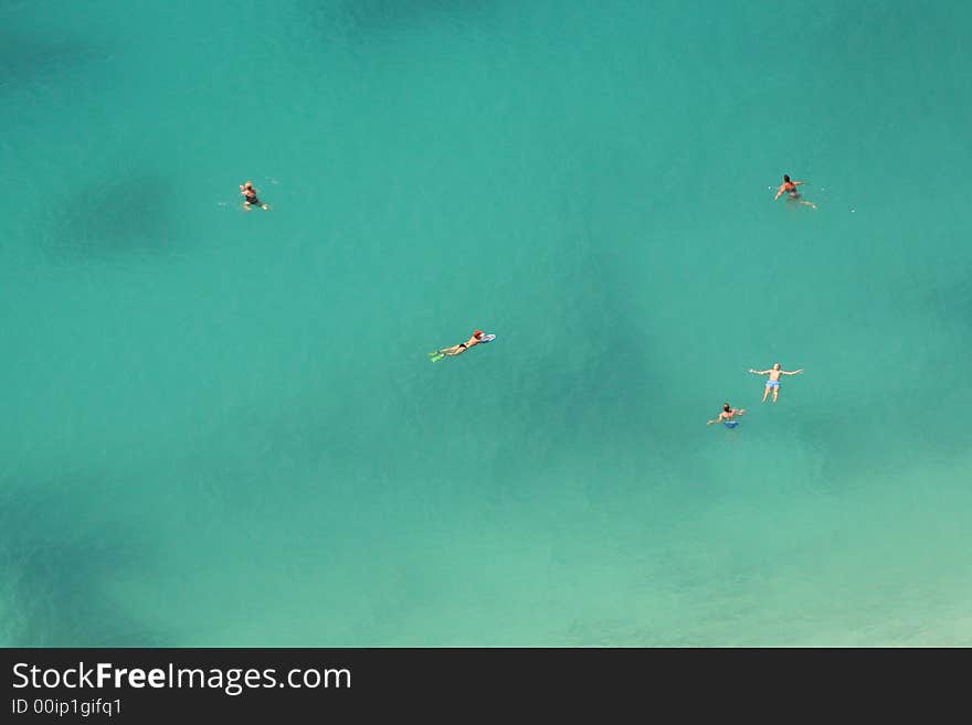 Swimming in the ocean