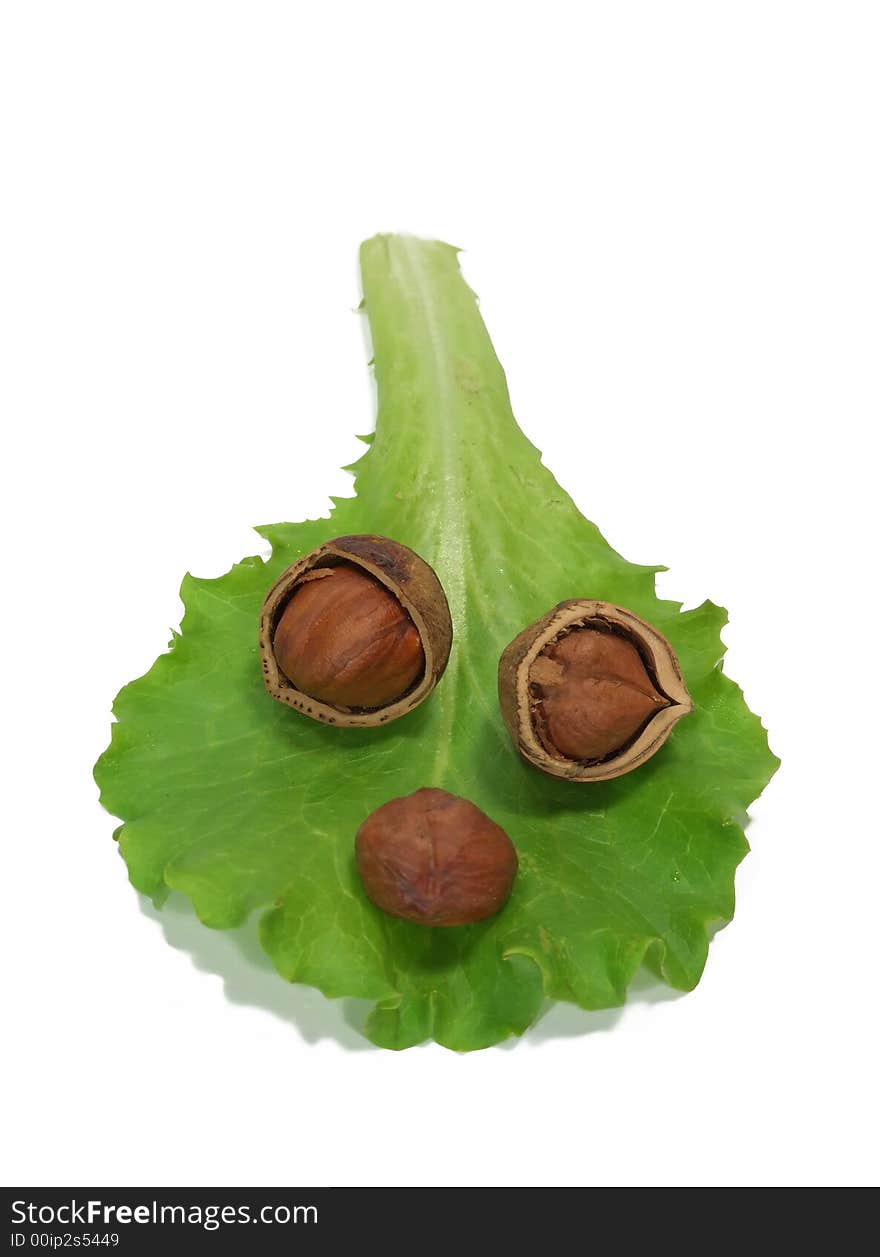 Leaf of salad with shadow and hazelnuts on a white background. Leaf of salad with shadow and hazelnuts on a white background