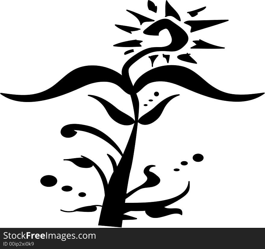 Vector floral ona white background