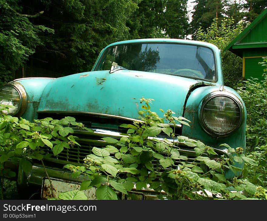 The rusty old machine in green leaves close up. The rusty old machine in green leaves close up