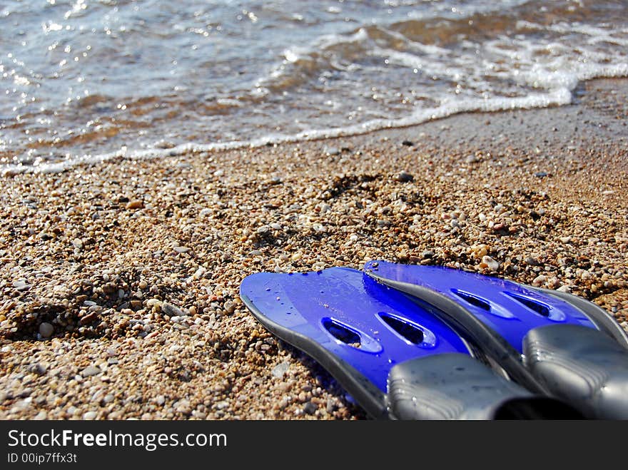 Blue flippers by the sea