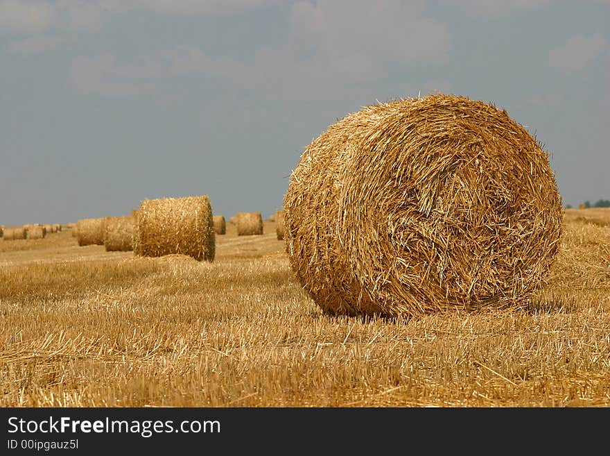 Straw bale 2