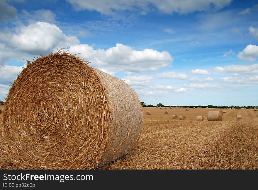 Straw bales after harvest