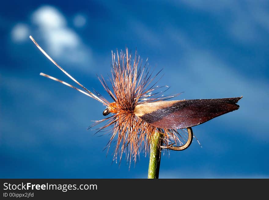 Artificial fly for fly fishing. Artificial fly for fly fishing