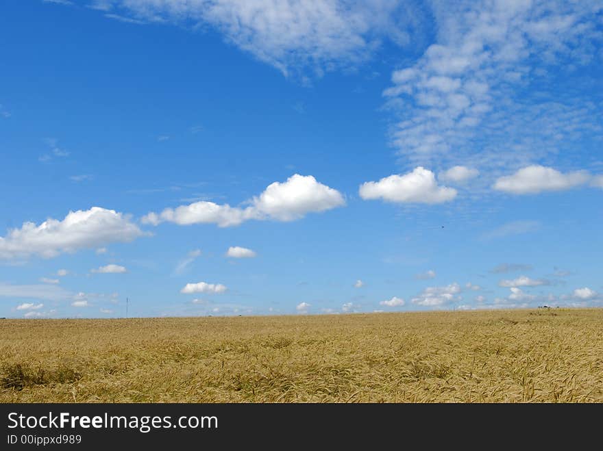 Summer landscape under blue sky