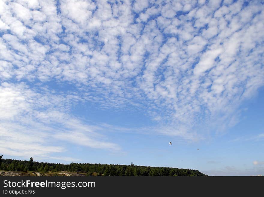 Summer landscape under blue sky