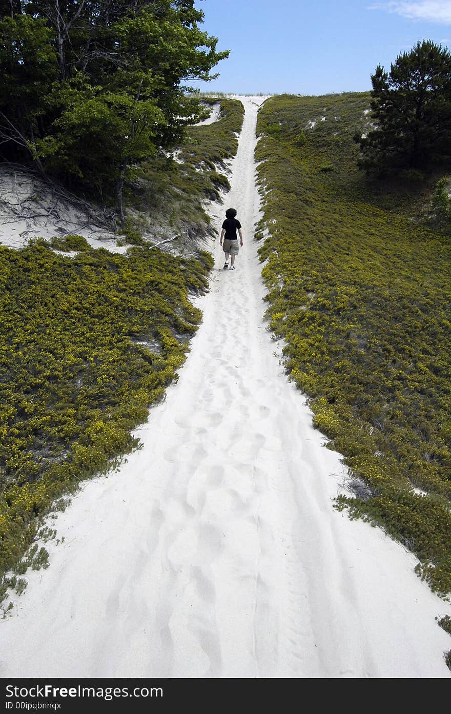 Hiker On A Sand Dune Trail