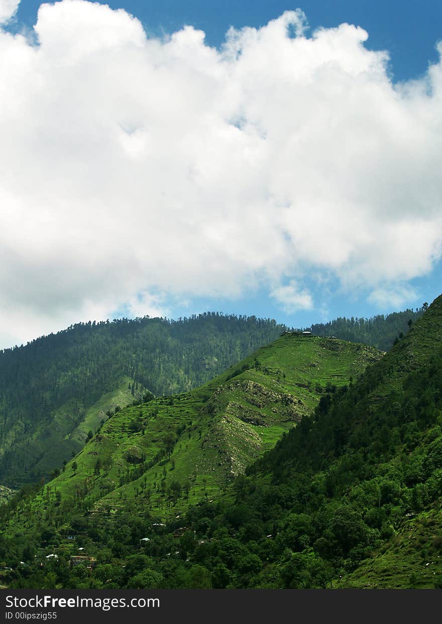 A view of a lush, green mountainside under a blue sky with clouds.  Vertical perspective. A view of a lush, green mountainside under a blue sky with clouds.  Vertical perspective.