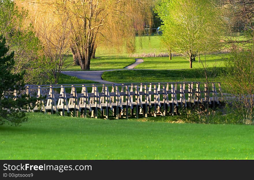 Colorful willow trees during spring time in a park. Colorful willow trees during spring time in a park