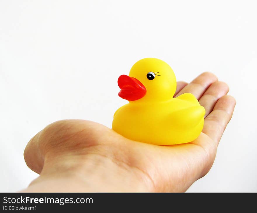 A mini rubber ducky resting in my hand. A mini rubber ducky resting in my hand.