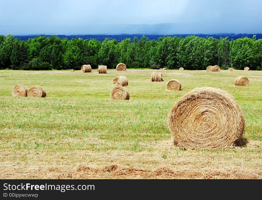 Hay bales