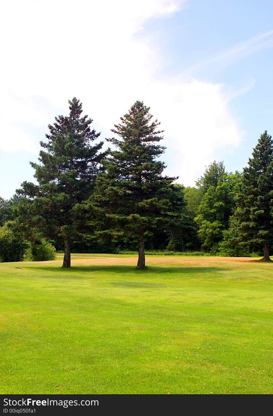 Trees on a perfect green lawn - countryside scenic.