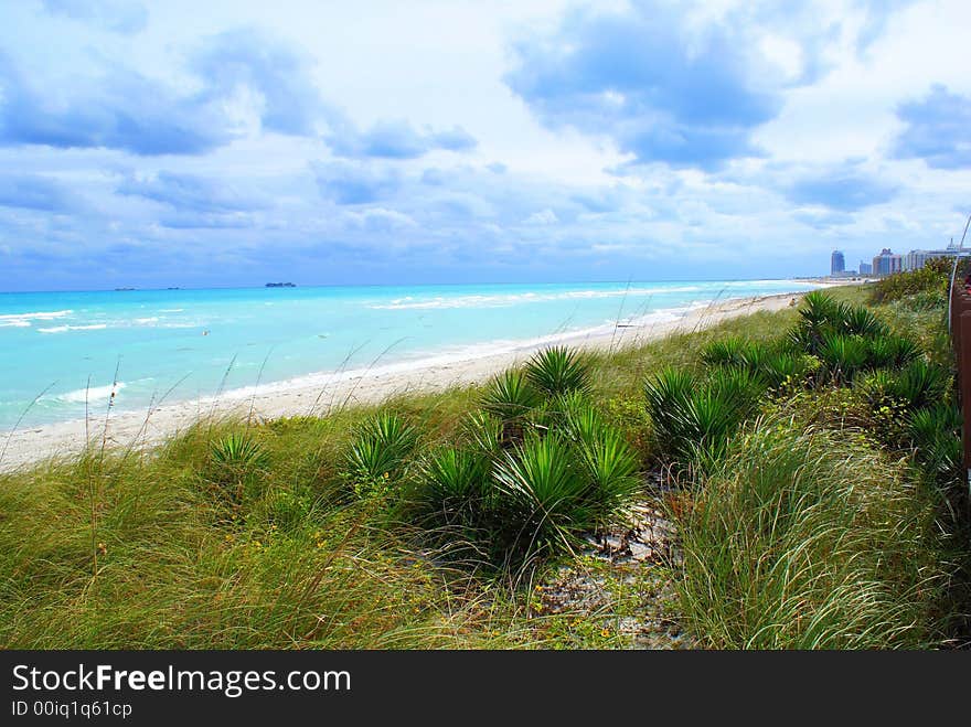 Beautiful view of miami beach ocean