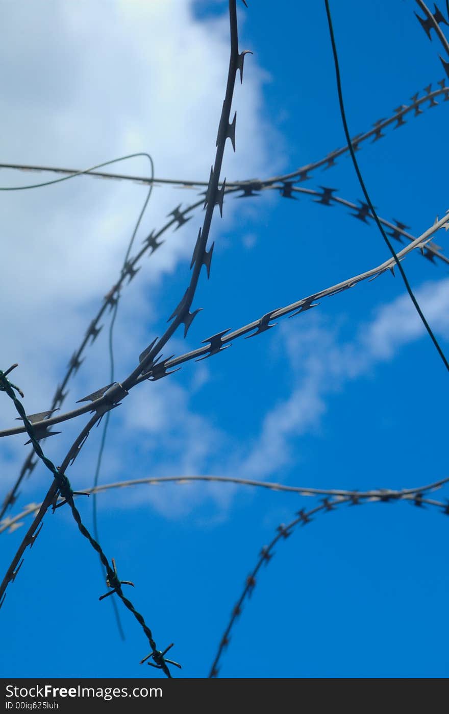 Barbed wire on fence 3