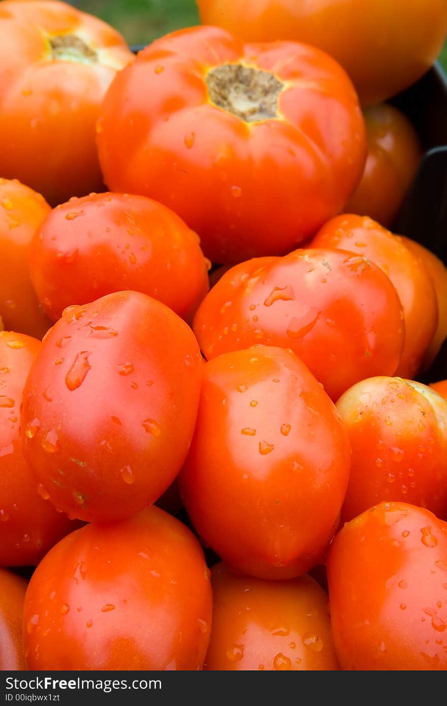 A bunch of red ripe tomatoes.