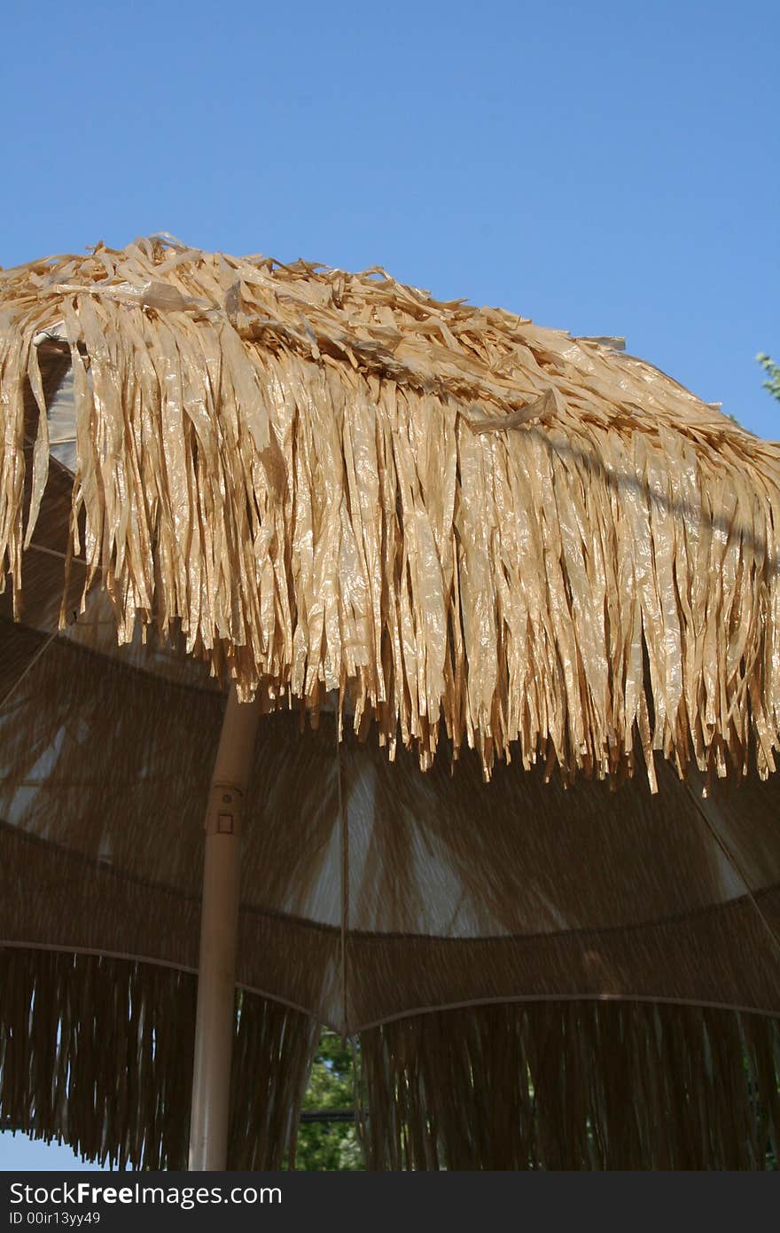 Thatched Roof 2