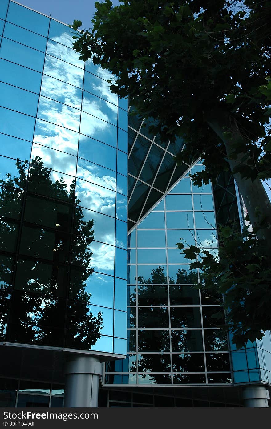 Modern business centre with a sky reflection