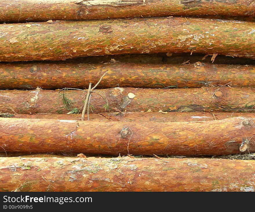 A stack of timber ready for sawmill