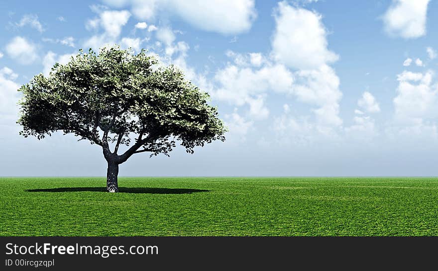 Alone tree and beautiful sky with clouds  - 3d landscape scene. Alone tree and beautiful sky with clouds  - 3d landscape scene.