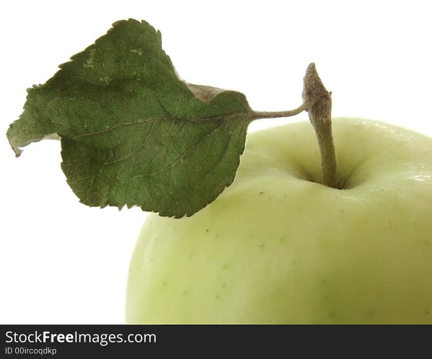 Wild apple fragment at the white background