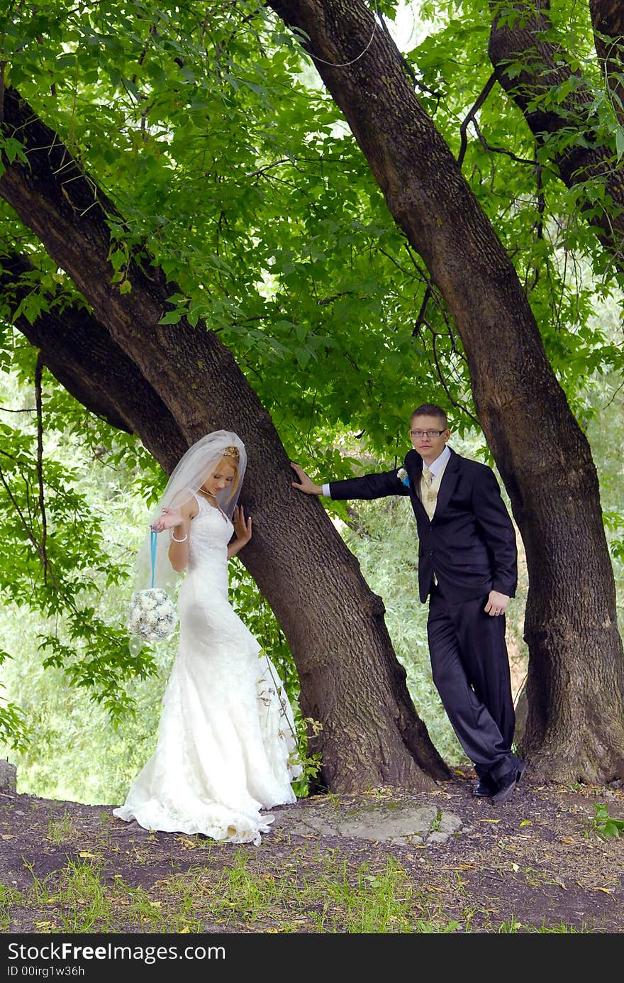 Bride and groom portrait