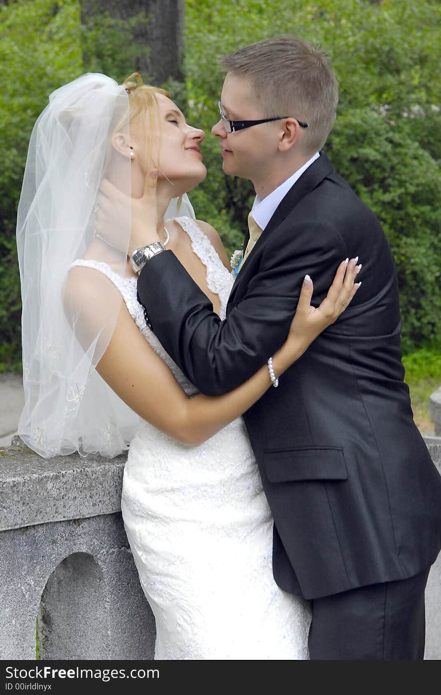 Bride and groom looking each to other. Bride and groom looking each to other