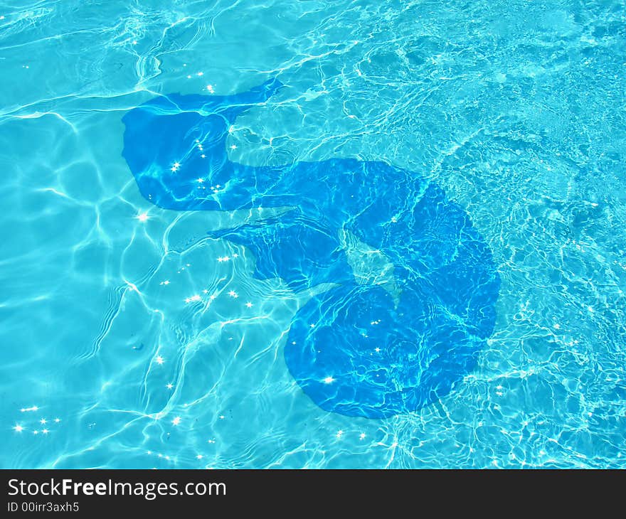 Sea horse  in the blue water