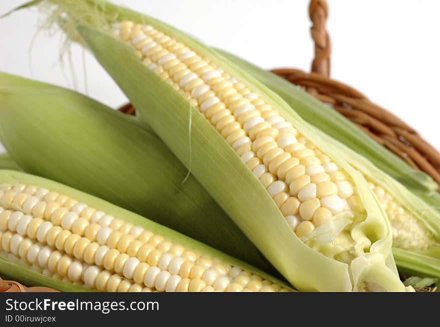 Fresh picked corn on the cob in basket. Fresh picked corn on the cob in basket.