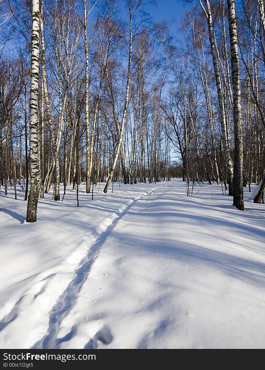 Frosty winter day