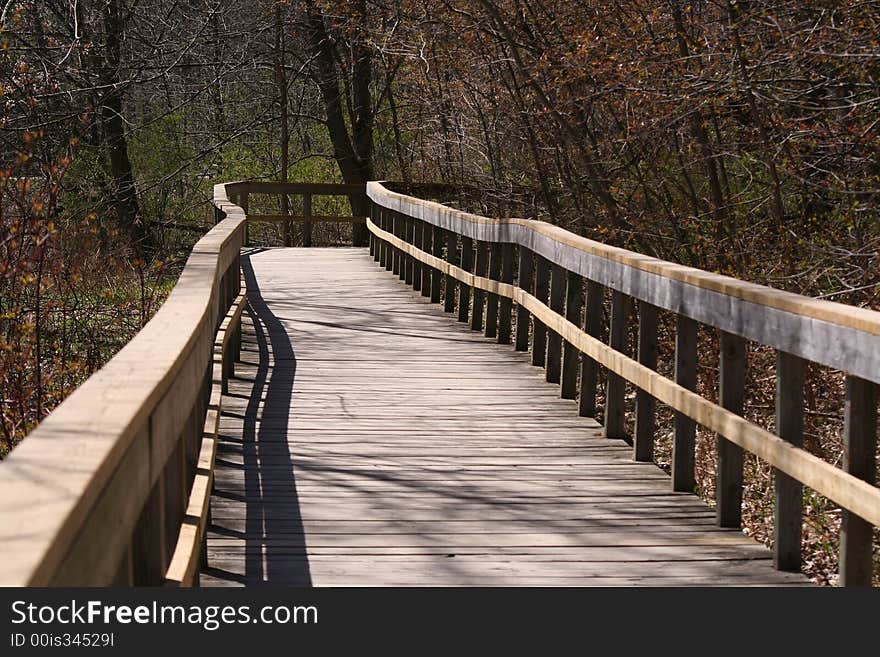 Wooden boardwalk through forest and marsh