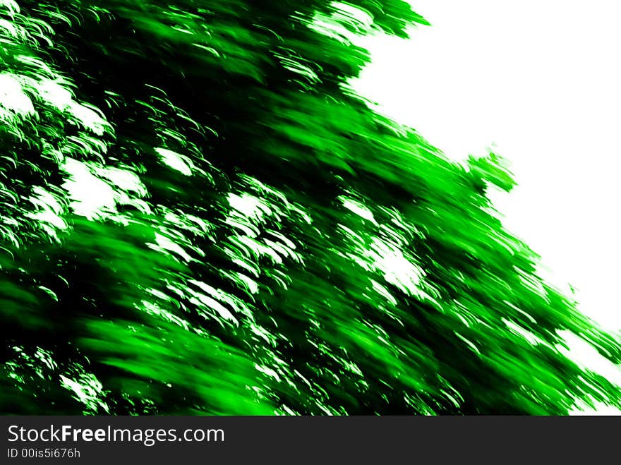 Green Texture 141