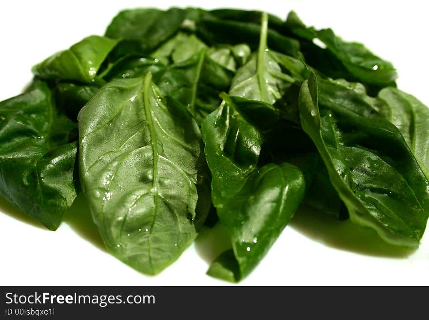 A set of fresh basil leaves for salad.