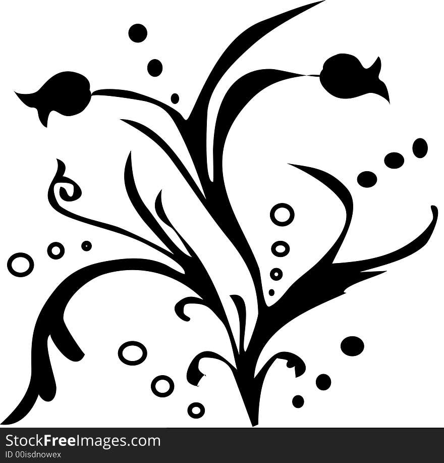 Vector floral on a white background