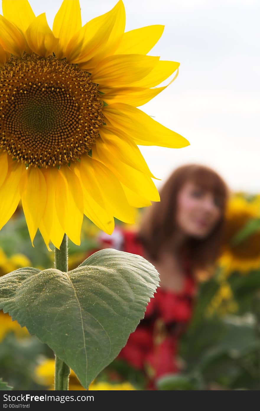 A series of photos of girls, in a countryside. A series of photos of girls, in a countryside