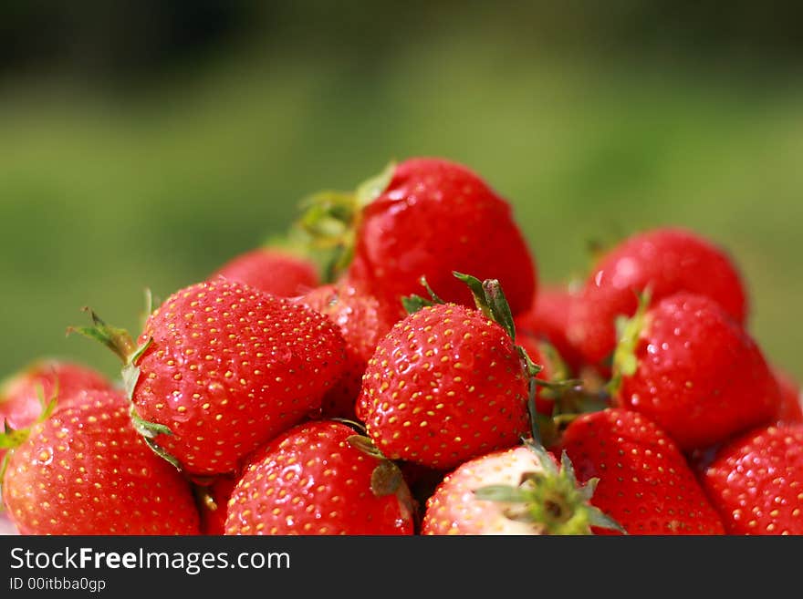 Close up view of some perfect strawberries in vivid colors.