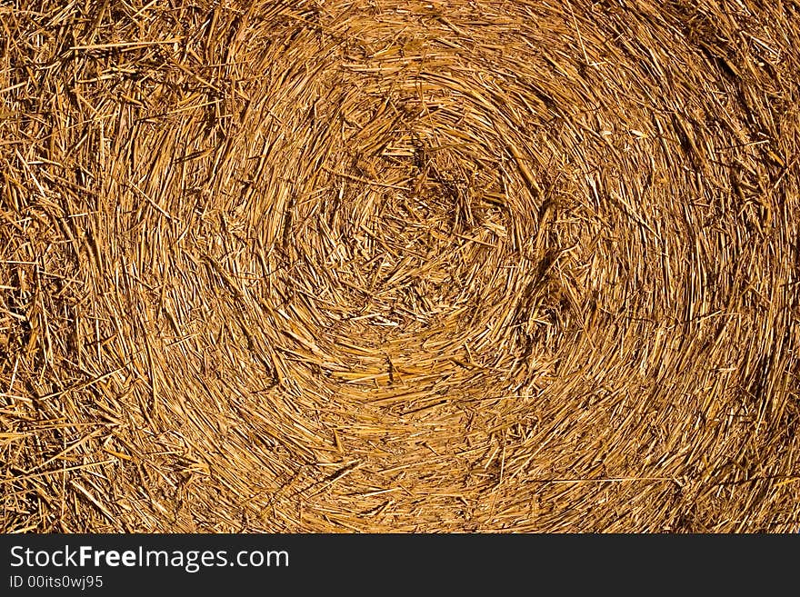 Close-up of a roll of hay. Close-up of a roll of hay