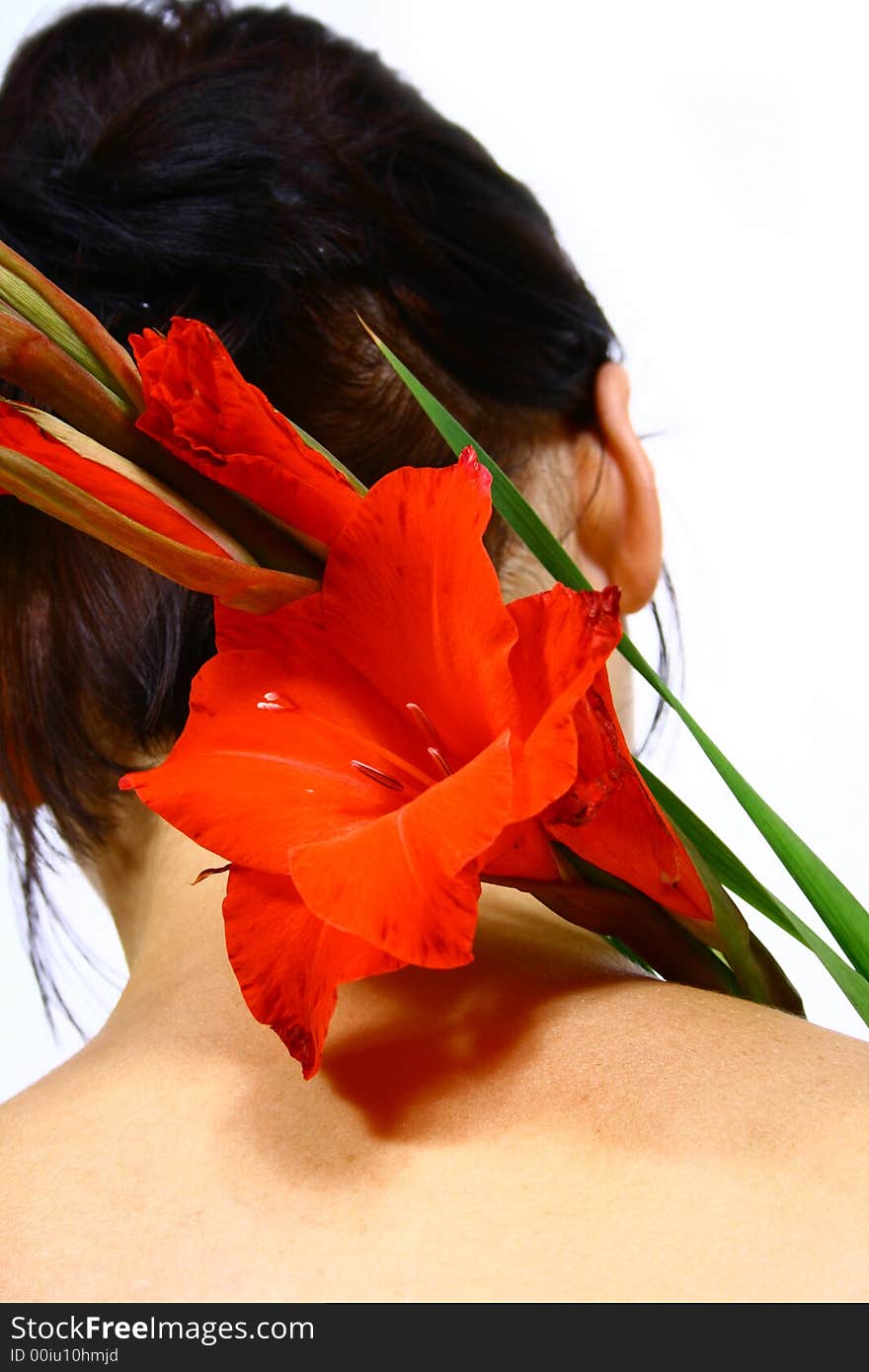 Back of a young woman with a flower and black hair. Back of a young woman with a flower and black hair