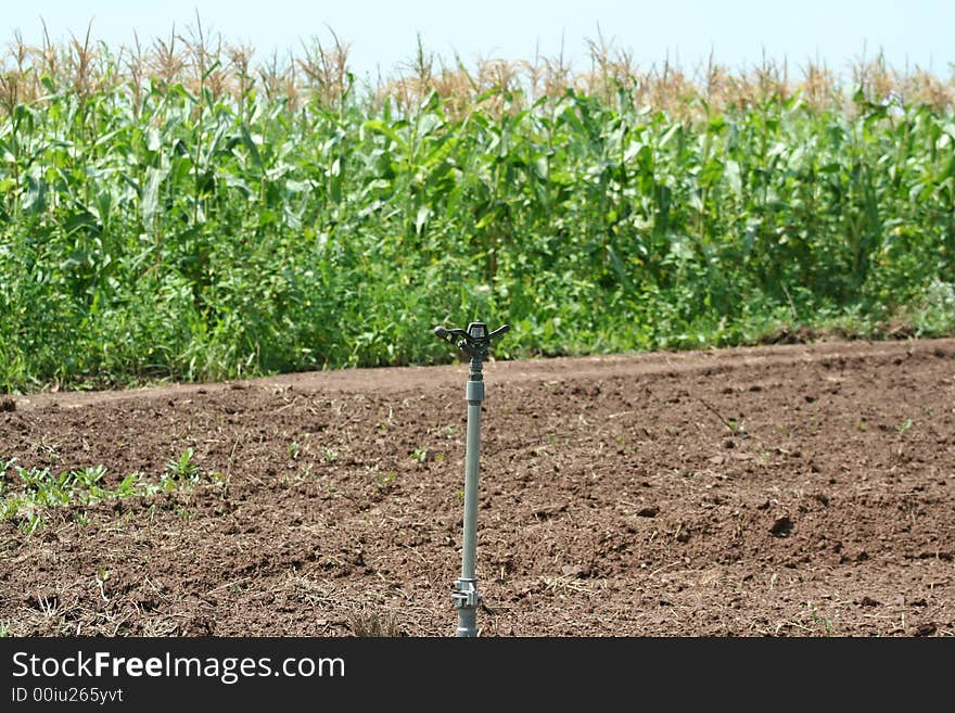 Crop sprinkler