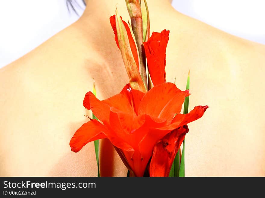 Back of a young woman with a flower and black hair. Back of a young woman with a flower and black hair