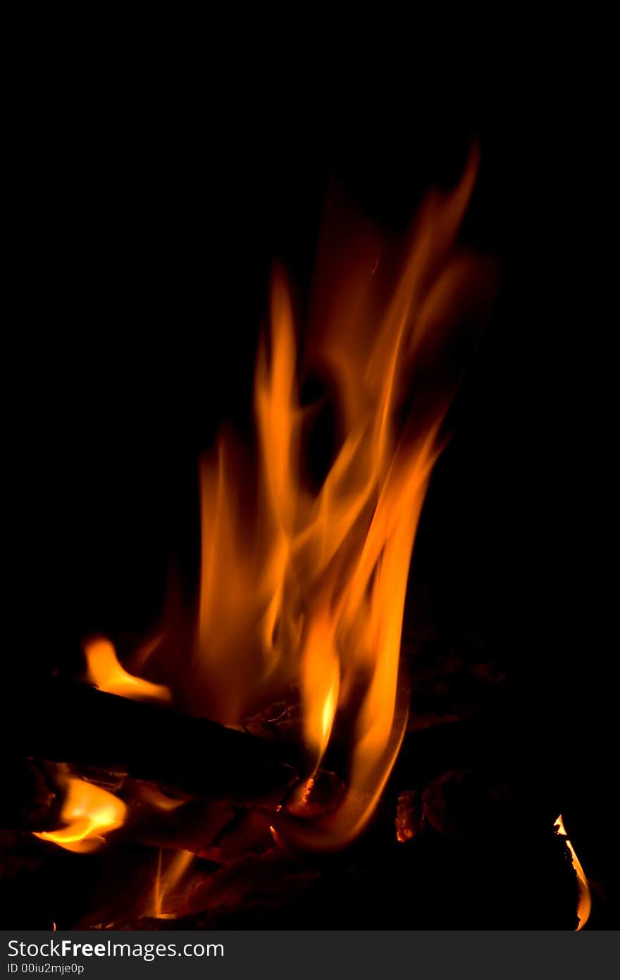 Wood burning in the fireplace