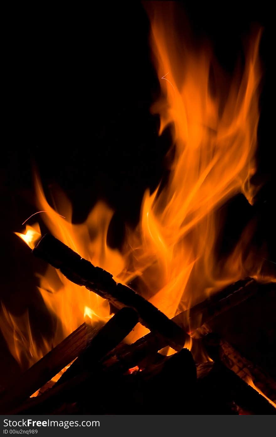 Wood burning in the fireplace