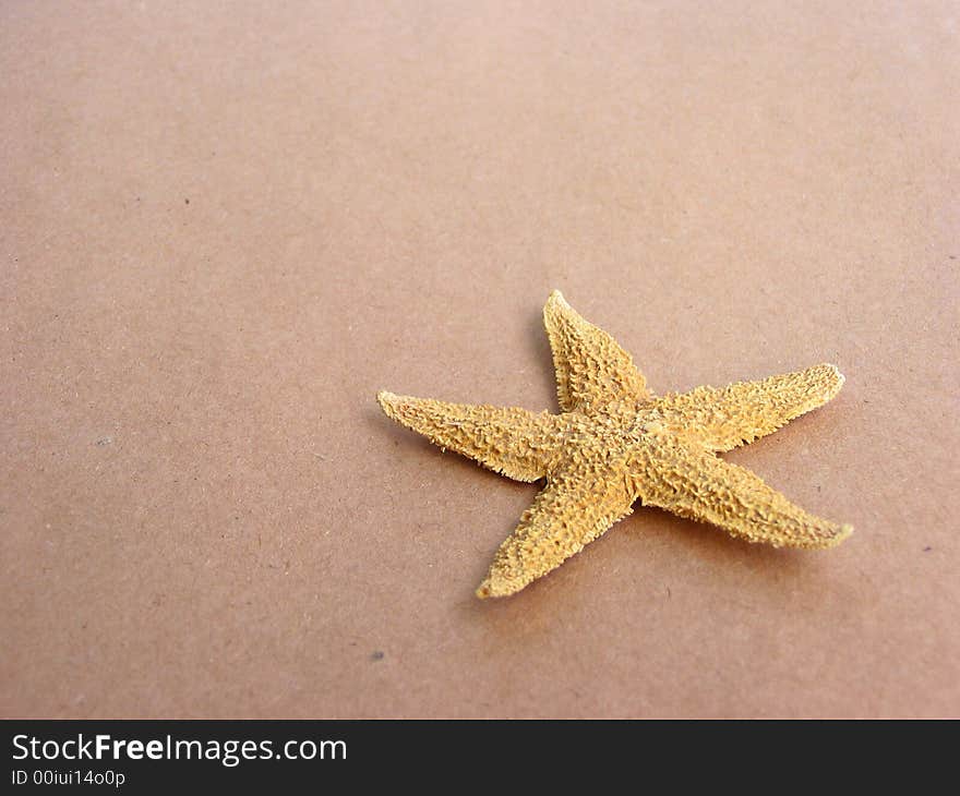 Starfish on brown paper background