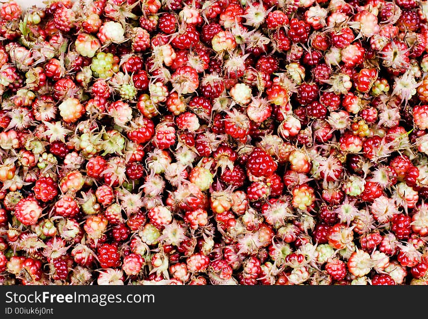 Wild cloudberries