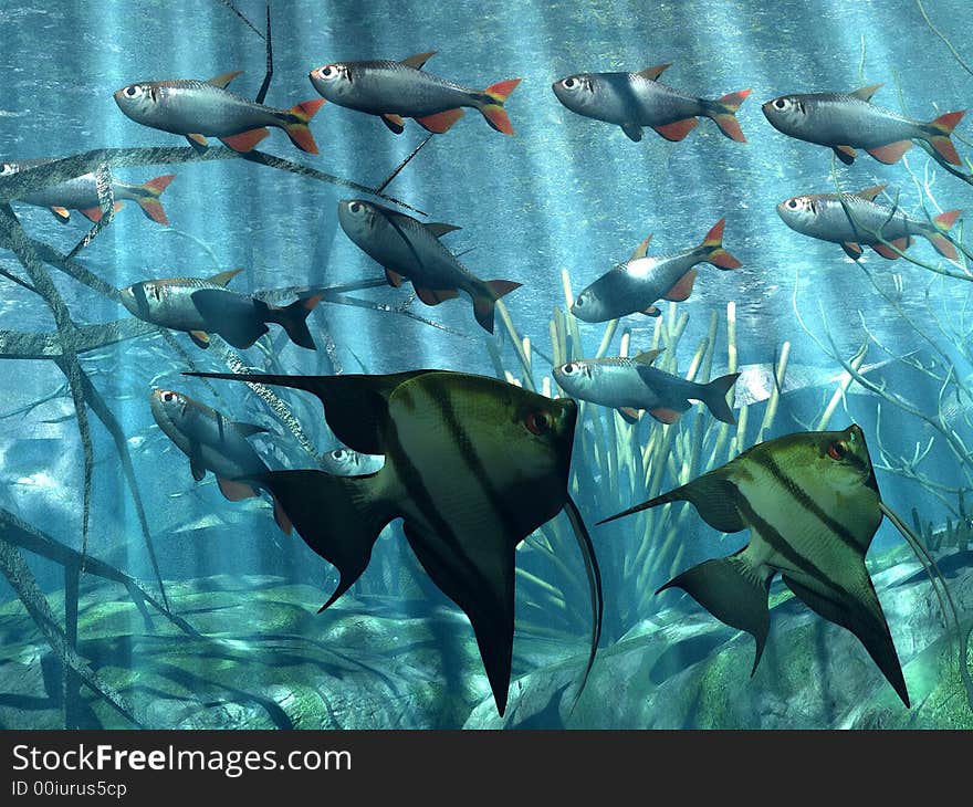 Illustration of  marine  life in acquarium. Illustration of  marine  life in acquarium