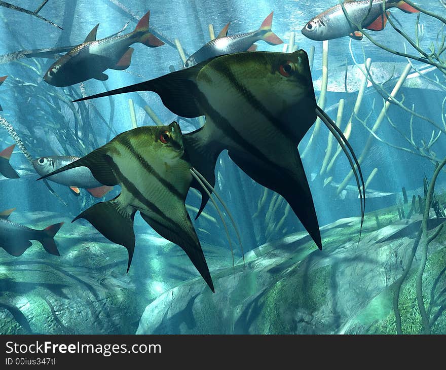 Illustration of  marine  life in acquarium. Illustration of  marine  life in acquarium